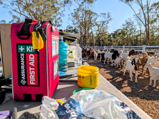 BLOG outdoor first aid kit in goat yards on a NSW farm