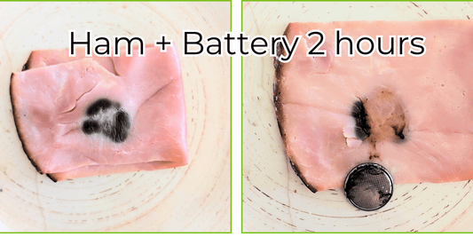 Silent & Deadly: Button Battery Safety Steps for your Kids Spaces - Assurance First Aid Kits