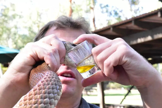 BLOG person milking venom from a snake