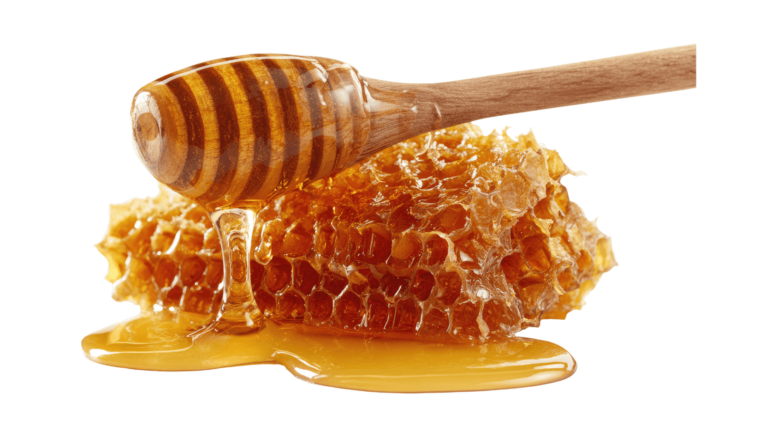 Why Honey Works on Button Battery Injuries: The Science Behind the Guideline - Assurance First Aid Kits