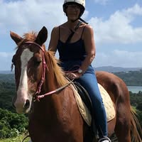 Person riding a horse with a scenic background